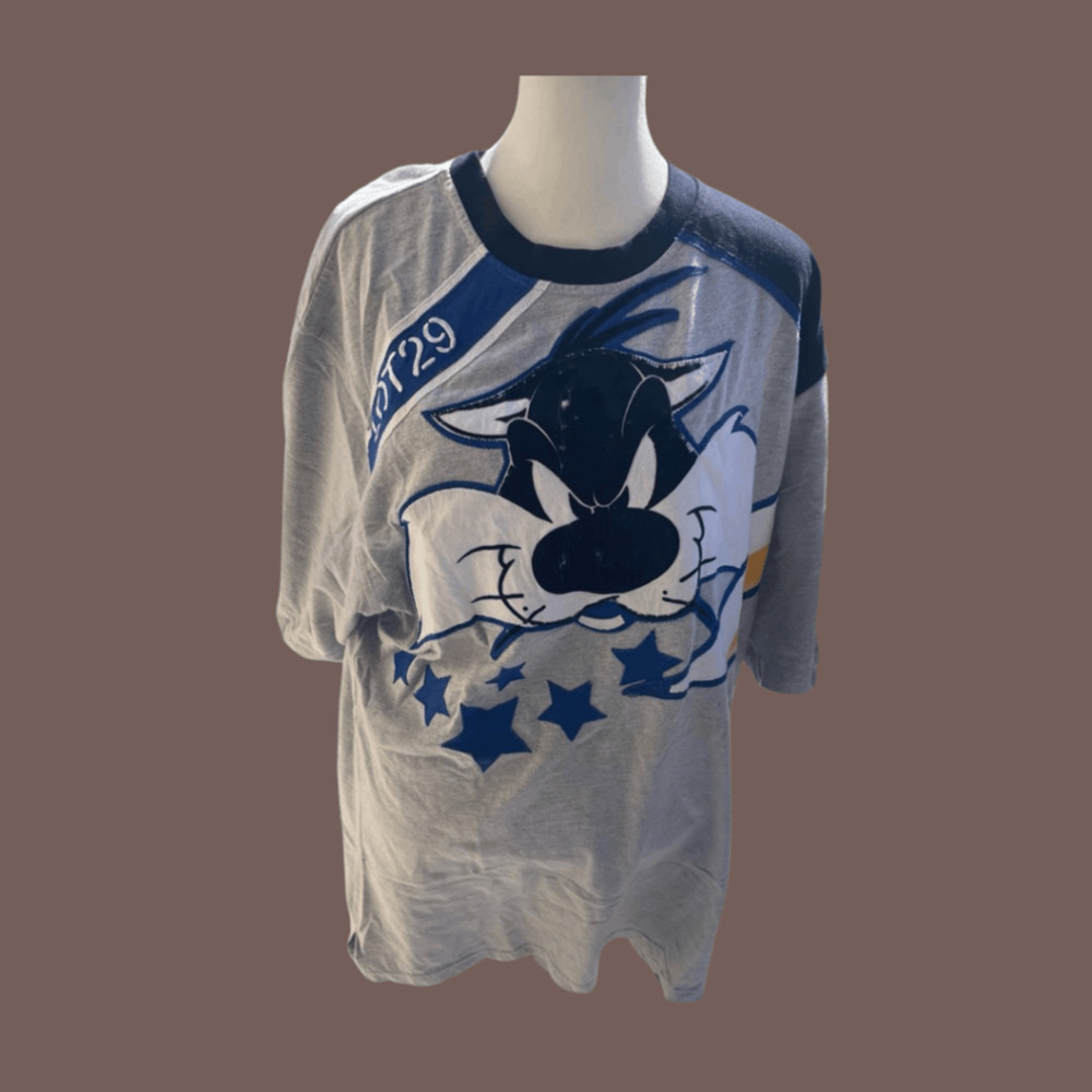 Lot 29 Sylvester Tee | Blue & Gray | Size XL | Vintage Y2K
